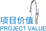 项目价值 项目价值