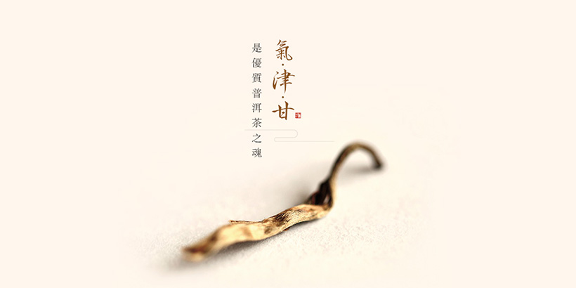 广州网站建设-今大福网站建设