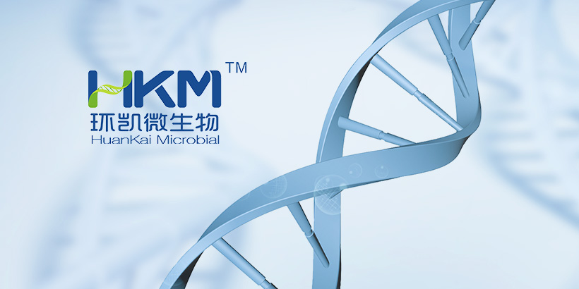 广州网站建设-环凯手机网站建设