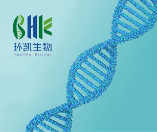 环凯生物官网网站建设项目开通上线啦！