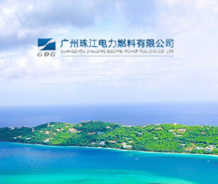 珠江电力燃料网上党总支网站升级二级等保测评通过上线啦！
