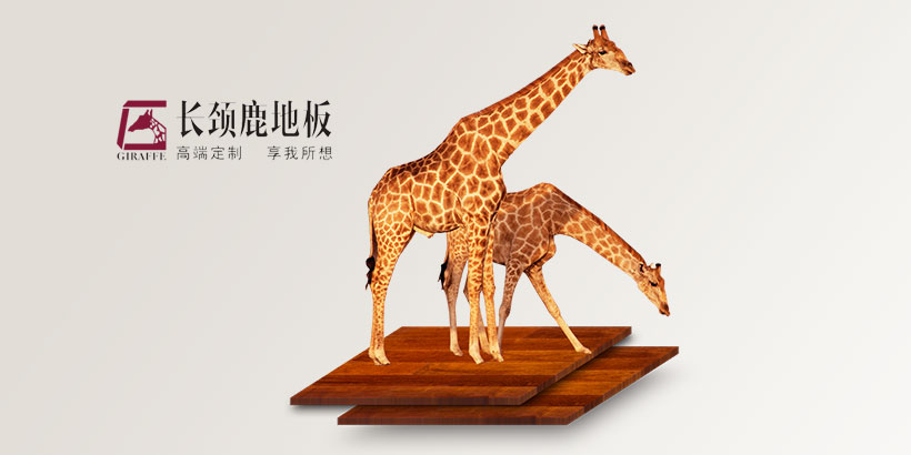 广州网站建设-长颈鹿品牌官网建设
