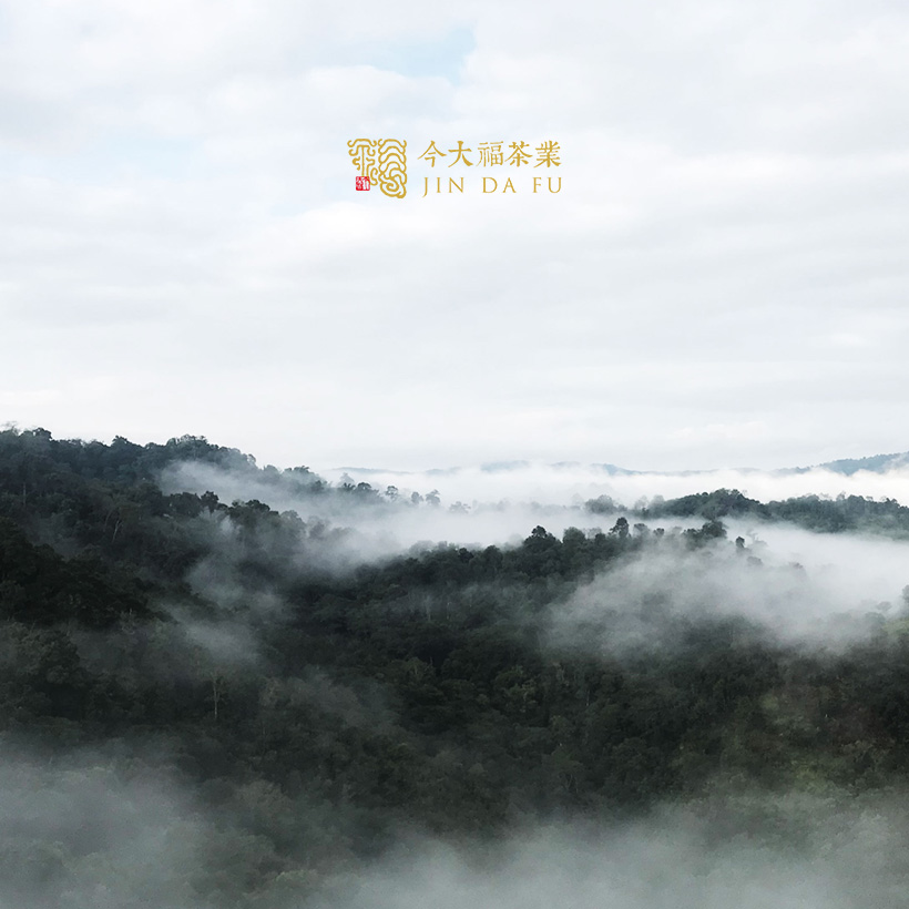 今大福