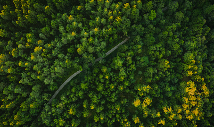 家居网站案例 | 联塑领尚