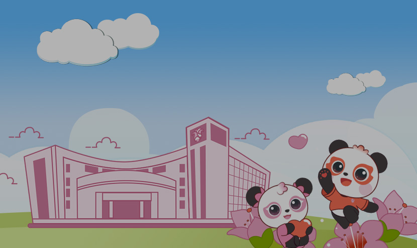 广东省妇幼医院网站建设