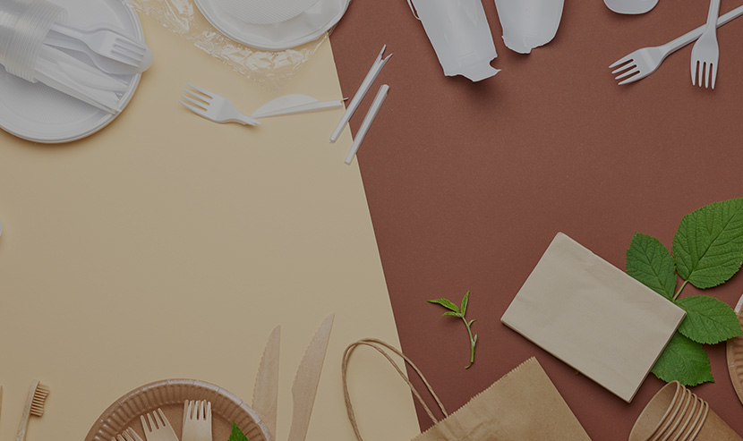 林诺品牌官网建设